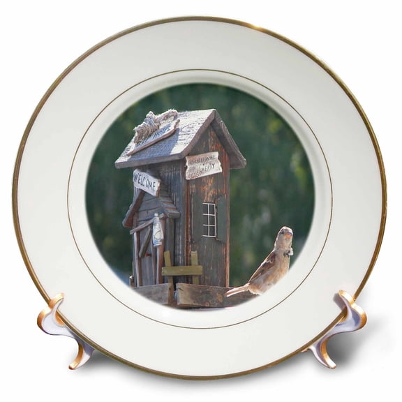 3dRose, Sparrow next to birdhouse, 8 inch Porcelain Plate