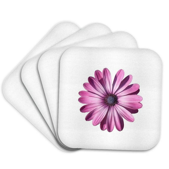3drose, Spectacular African Daisy Isolated, Set of 4 Coasters - Soft