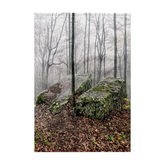 3dRose, Split Rocks in the Mist in Monte Sano State Park, 15x22 Hand Towel