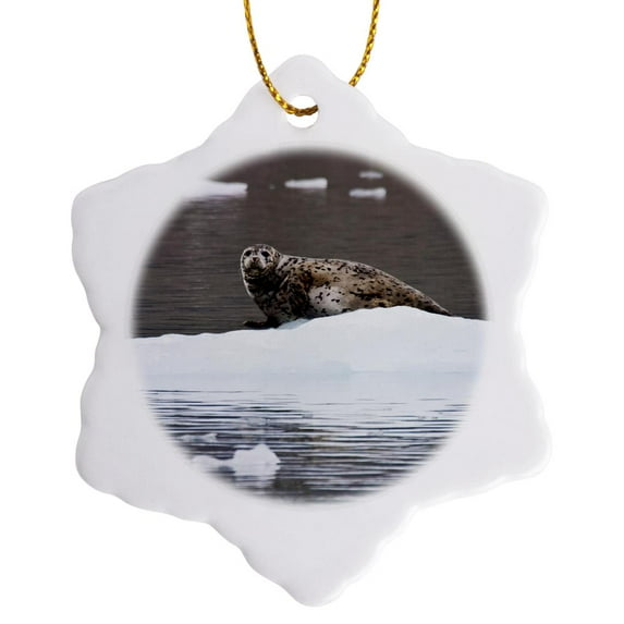 3drose, Spotted Harbor Seal, Wrangell St Elias, Alaska, Usa - Us02 Teg0136 - Terry Eggers, 3 inch Snowflake Porcelain Ornament