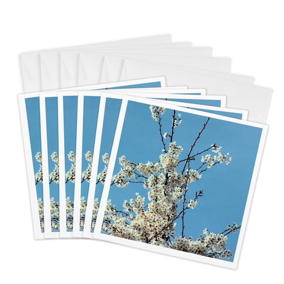 3drose, Spring Flowering Tree- Zen Photography- Flowers, 6 Greeting Cards with Envelopes