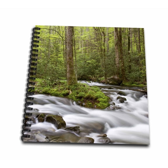 3dRose, Spring at Straight Fork Creek, Great Smoky Mountains, North Carolina, Mini Notepad 4 x 4 inch