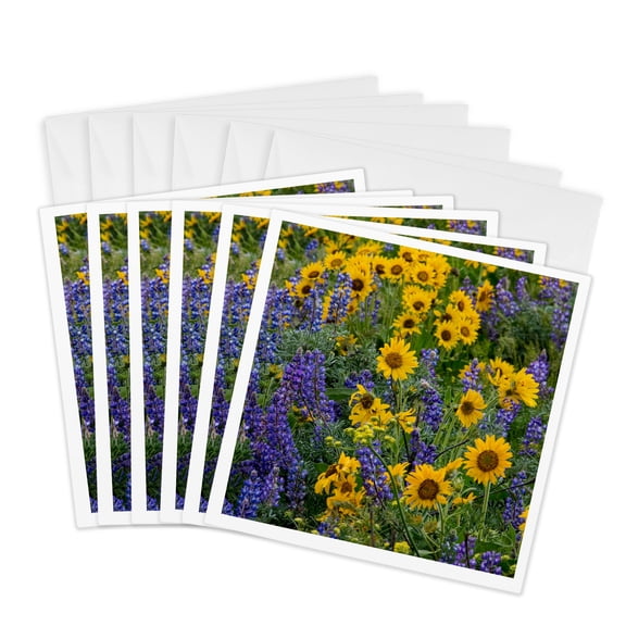 3drose, Springtime Bloom with Mass Fields of Wildflowers, Washington, 6 Greeting Cards with Envelopes