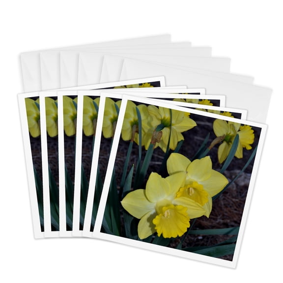 3dRose, Springtime daffodils, 6 Greeting Cards with envelopes