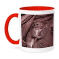 thumbnail image 1 of 3dRose, squirrel climbing tree reddish, 15oz Two-Tone Red Mug, 1 of 7