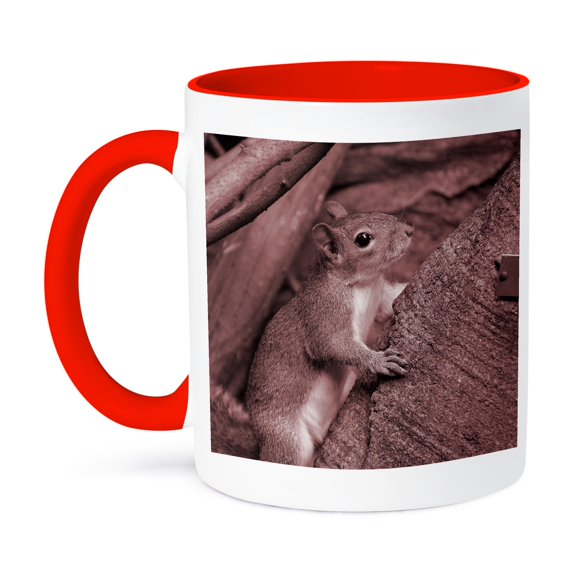 3dRose, squirrel climbing tree reddish, 15oz Two-Tone Red Mug