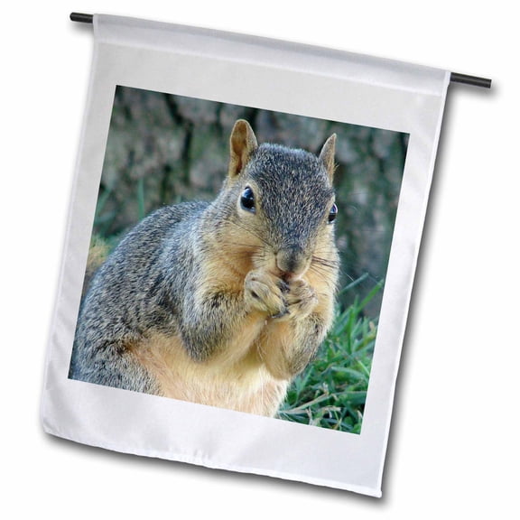 3dRose, Squirrel Eating Acorns Photographed by Angelandspot, 12 x 18 inch Garden Flag