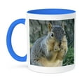 thumbnail image 1 of 3dRose, Squirrel Eating Acorns Photographed by Angelandspot, 15oz Two-Tone Blue Mug, 1 of 7