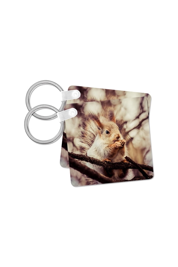 , Squirrel animal sits on a tree and eats a nut. Stylized photo, set of 2 Key Chains