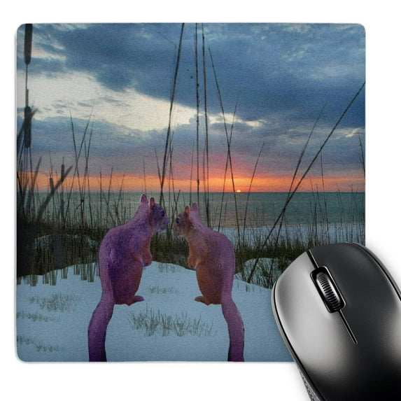 3dRose, Squirrelly Kinda Luv, MousePad