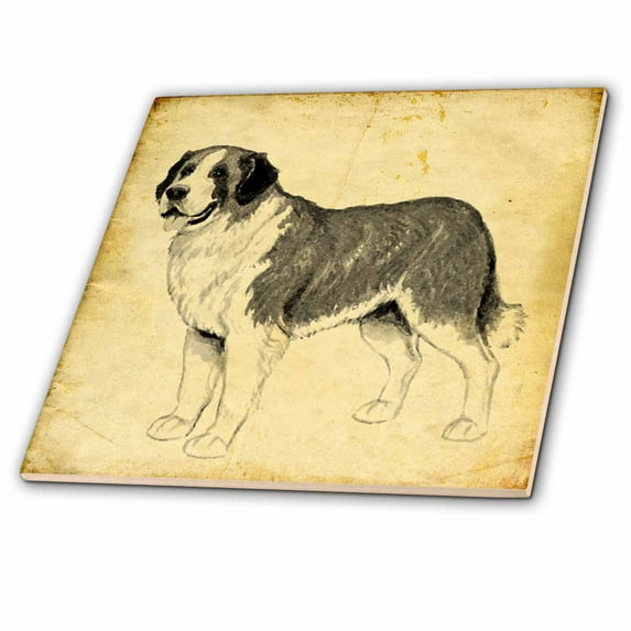 3dRose, St. Bernard Dog Against A Vintage Background, 12 Inch Ceramic Tile