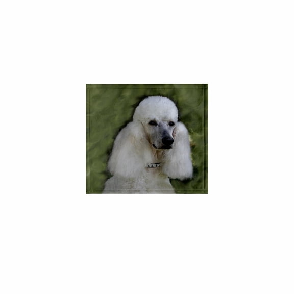 3dRose, Standard Poodle, 11x12 Wash Cloth for Face and Body