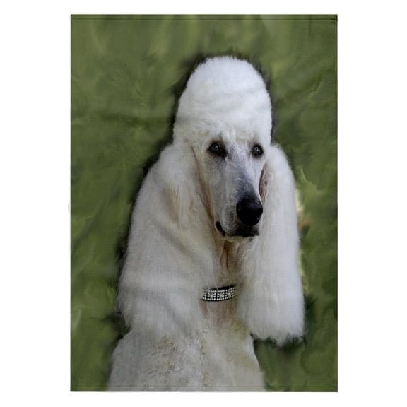 3dRose, Standard Poodle, 22x30 Bath Hand Pool Towel