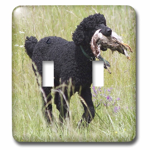 3dRose, Standard Poodle, double toggle switch