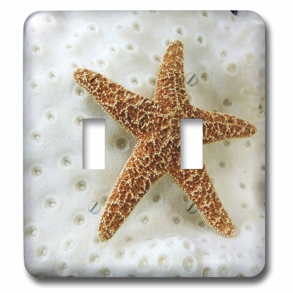3dRose, Star Fish On Coral, double toggle switch