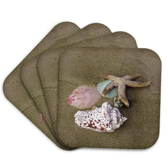 3drose, Star Fish N Sea Shells, Set of 4 Coasters - Soft