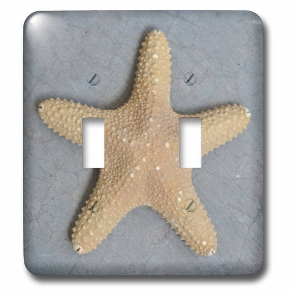 3dRose, Starfish Shell, double toggle switch
