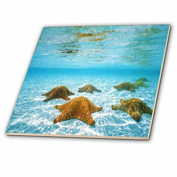 3dRose, Starfish Underwater, 6 Inch Ceramic Tile