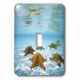 thumbnail image 1 of 3dRose, Starfish Underwater, single toggle switch, 1 of 1