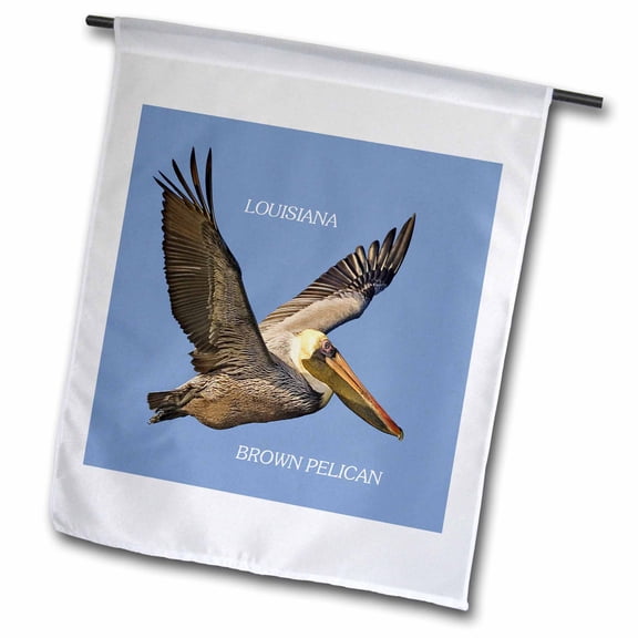 3dRose, State Bird Of Louisiana Brown Pelican, 12 x 18 inch Garden Flag