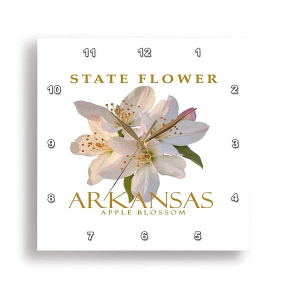 3dRose, State Flower Arkansas Apple Blossom Floral Design, 15x15 Wall Clock