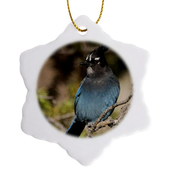 3drose, Stellers Jay Bird, Rocky Mountain Np, Colorado - Na02 Rnu0799 - Rolf Nussbaumer, 3 inch Snowflake Porcelain Ornament