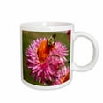 thumbnail image 1 of 3drose, Strawflower Diner - Photography Flowers, 11oz Mug, 1 of 6