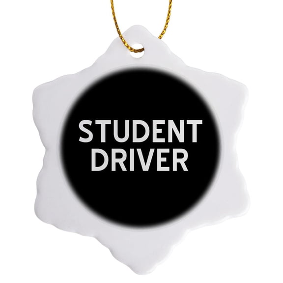 3drose, Student Driver, 3 inch Snowflake Porcelain Ornament