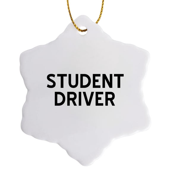 3drose, Student Driver, 3 inch Snowflake Porcelain Ornament