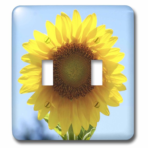 3dRose, Sun Flower Proud, double toggle switch