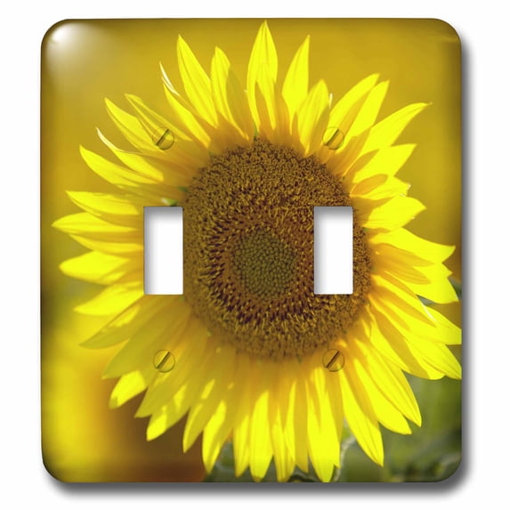 3dRose, Sunflower - US48 DBN0044 - David Barnes, double toggle switch