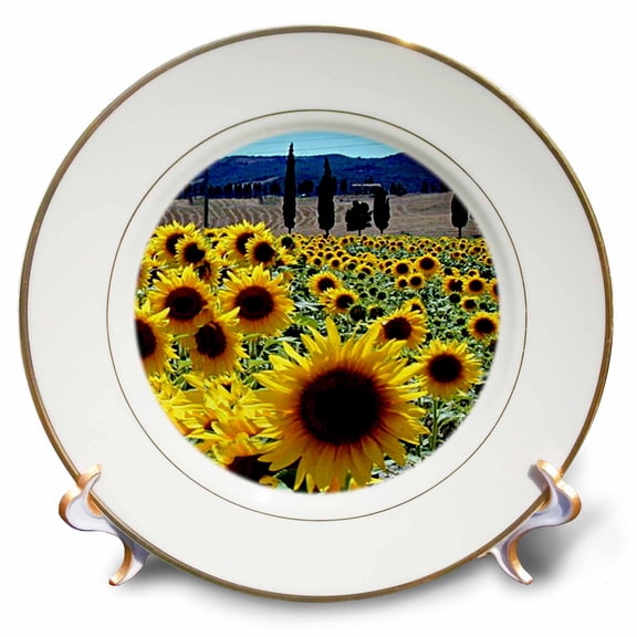 3dRose, Sunflowers, 8 inch Porcelain Plate