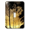 thumbnail image 1 of 3dRose, Sunset In The woods, single toggle switch, 1 of 1