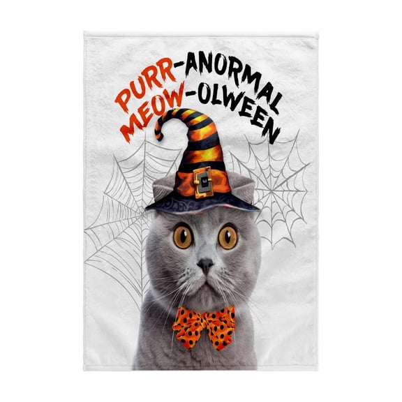 3dRose, Sweet Gray Scottish Fold Cat in Orange and Black Witch Hat Halloween, 15x22 Hand Towel