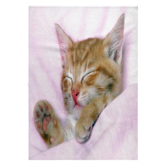 3dRose, Sweetest Little Kitten All Snuggled Up, 22x30 Bath Hand Pool Towel
