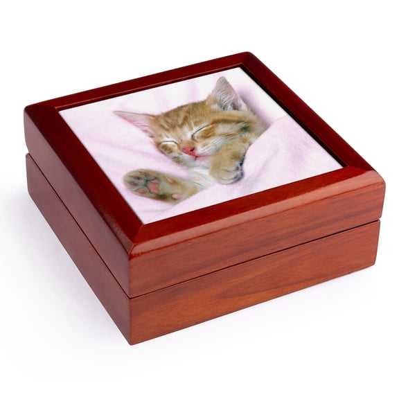 3dRose, Sweetest Little Kitten All Snuggled Up, Jewelry Box 5.5x5.5 inch with 4 inch tile