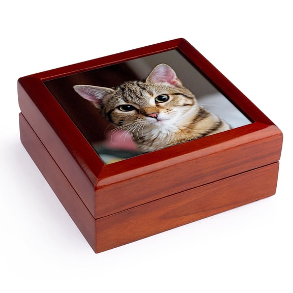 3dRose, Tabby Cat Kitten, Jewelry Box 5.5x5.5 inch with 4 inch tile