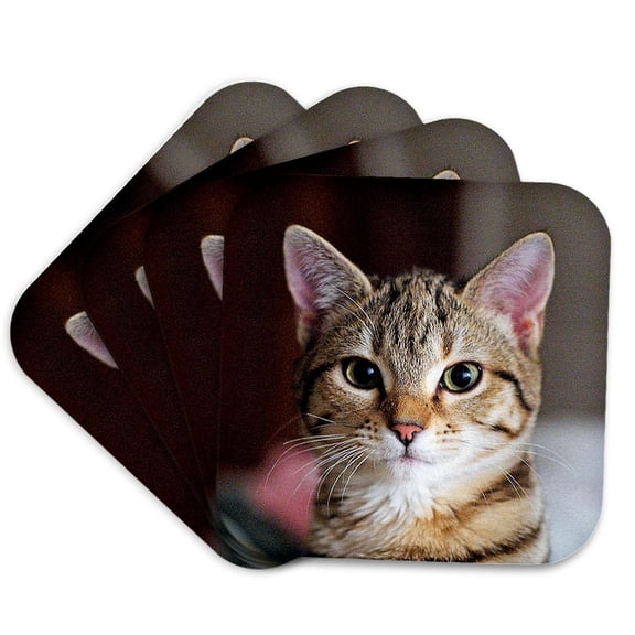 3drose, Tabby Cat Kitten, Set of 4 Coasters - Soft