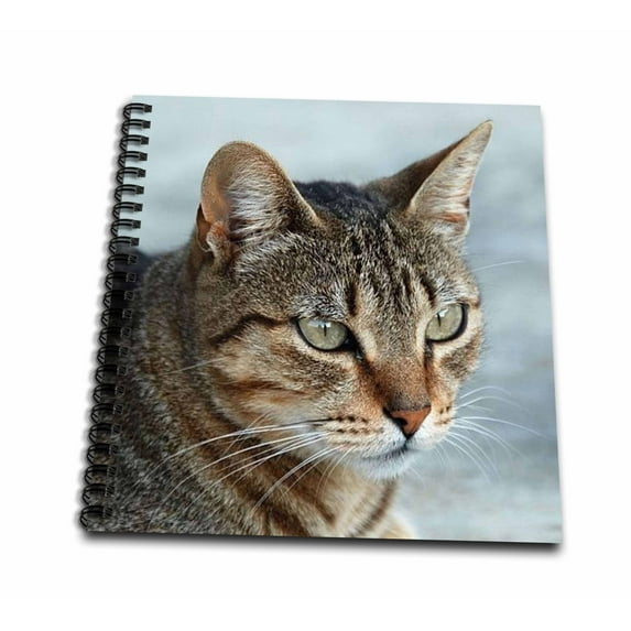 3dRose, Tabby Cat Portrait, Memory Book 12 x 12 inch