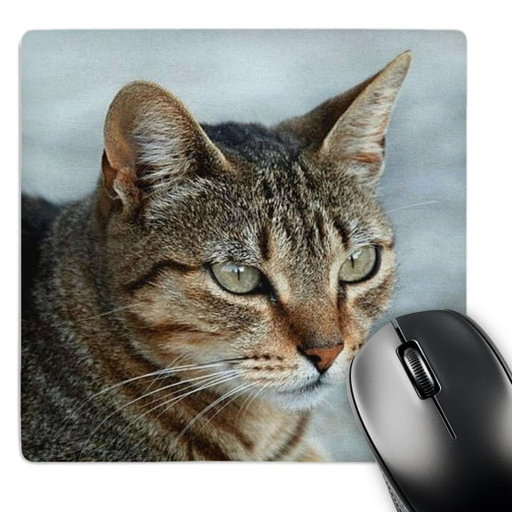 3dRose, Tabby Cat Portrait, MousePad