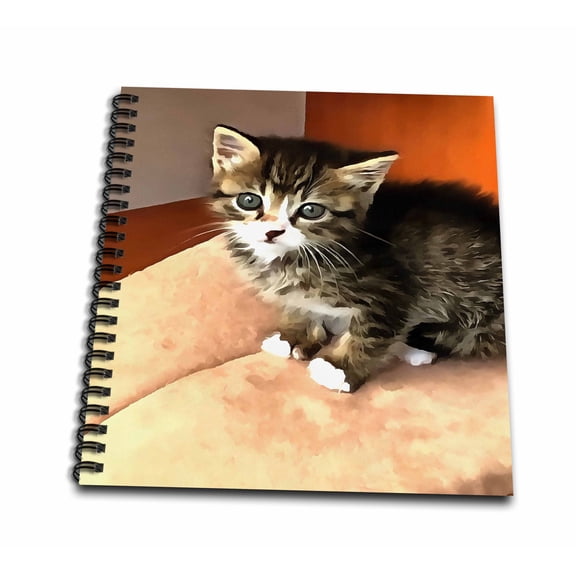 3dRose, Tabby Kitten Named Miss Pip Squeak, Mini Notepad 4 x 4 inch