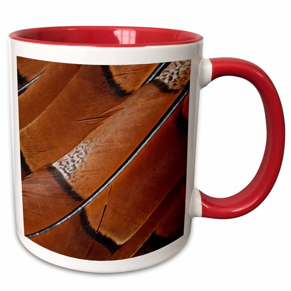 3drose, Tail Feathers of Copper Pheasant, 11oz Two-tone Red Mug