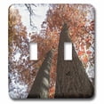 thumbnail image 1 of 3dRose, Tall Trees, double toggle switch, 1 of 1