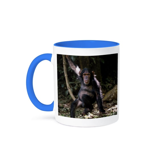 3dRose, Tanzania, Chimpanzee Young Female at Gombe Stream National Park. , 11oz Two-Tone Blue Mug
