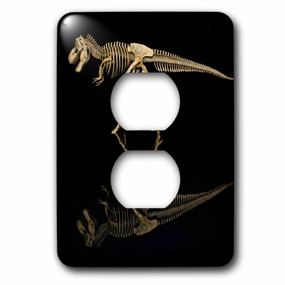 3dRose, Tennessee. T-rex dinosaur skeleton replica, reflection., 2 plug outlet cover
