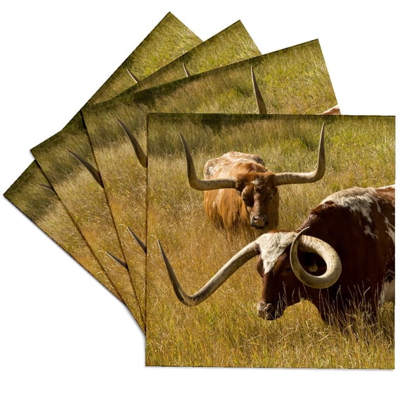 3dRose, Texas Longhorn, Custer, South Dakota, Usa, Set of 4 Ceramic Tile Coasters