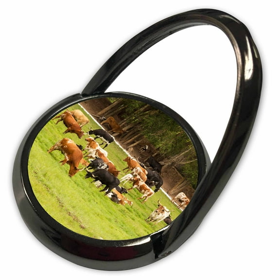 3dRose, Texas Longhorn cow cattle in green pasture - US44 PWO0000 - PiperAnne Worcester, Phone Ring