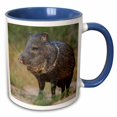 thumbnail image 1 of 3drose, Texas, Rio Grande Valley. Javelina Wildlife - Us44 Bja0184 - Jaynes Gallery, 11oz Two-tone Blue Mug, 1 of 6