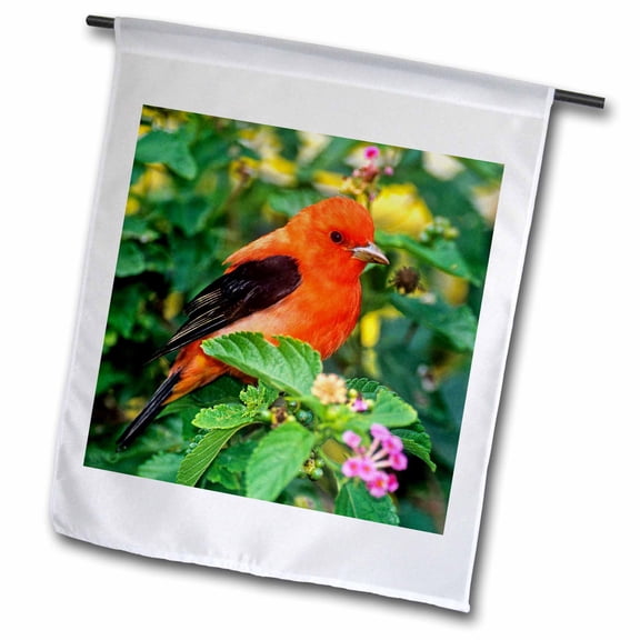 3dRose, Texas, South Padre Island. Scarlet tanager bird - US44 BJA0108 - Jaynes Gallery, 12 x 18 inch Garden Flag