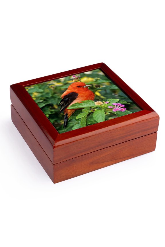, Texas, South Padre Island. Scarlet tanager bird - US44 BJA0108 - Jaynes Gallery, Jewelry Box 5.5x5.5 inch with 4 inch tile